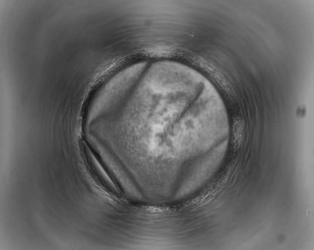 X0000098170494200805151120