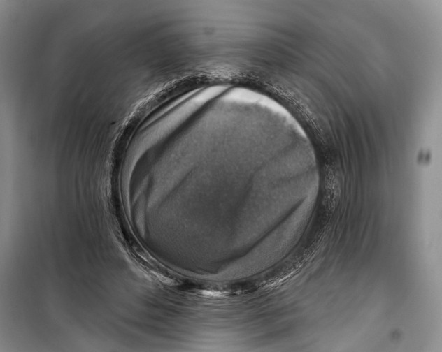 X0000098170496200805151120