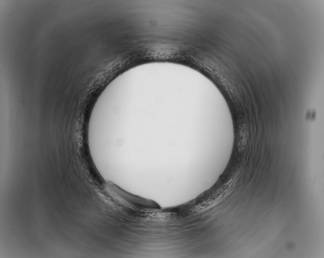 X0000098170497200805151120