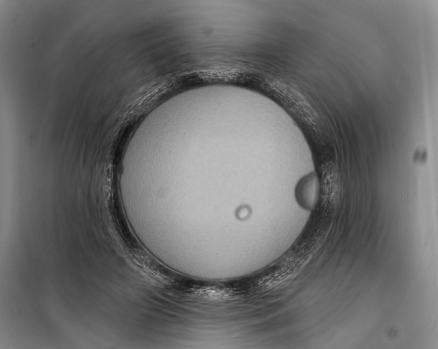 X0000098170498200805151120