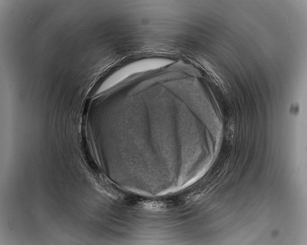 X0000098170500200805151120