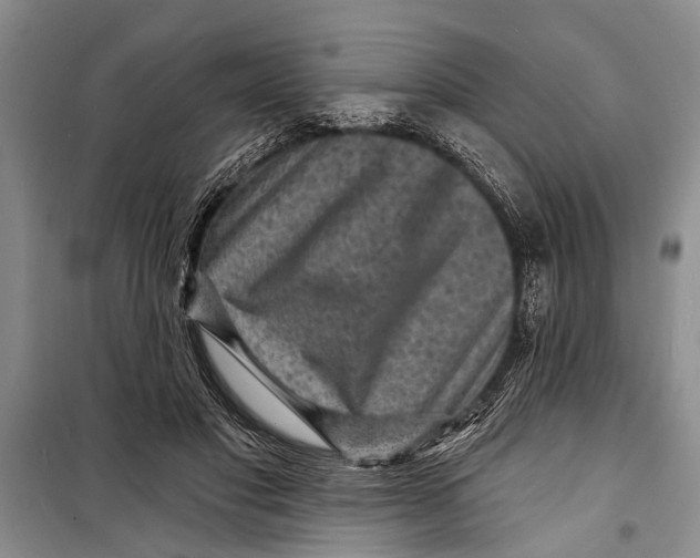 X0000098170501200805151120