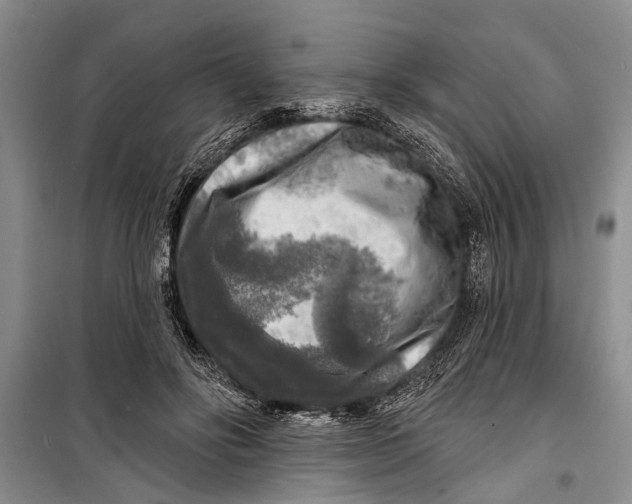 X0000098170502200805151120