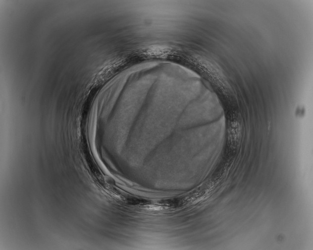 X0000098170504200805151120