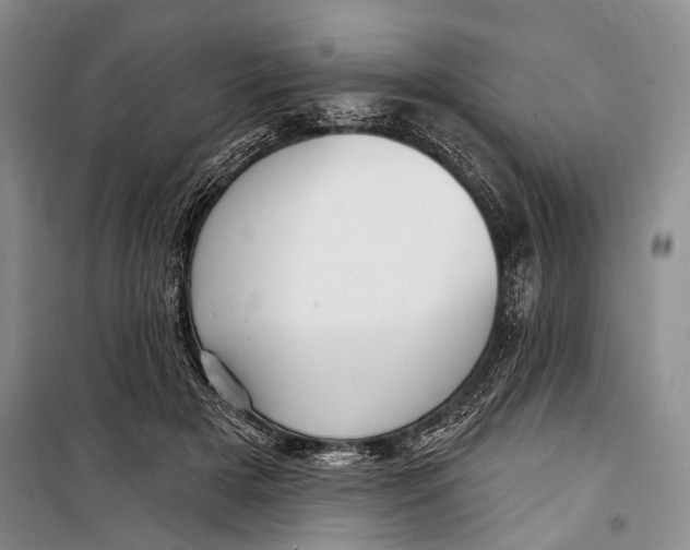 X0000098170505200805151120