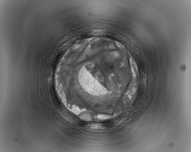 X0000098170507200805151120