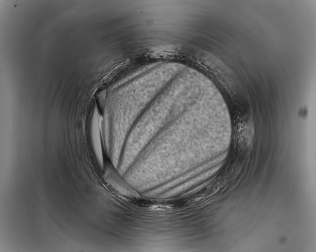 X0000098170508200805151120