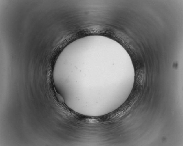 X0000098170509200805151120