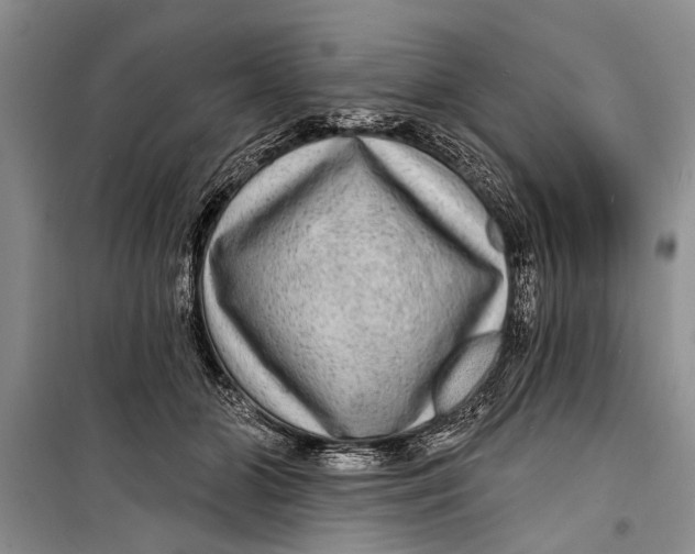 X0000098170510200805151120