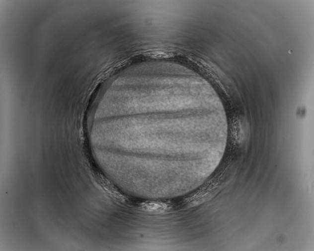 X0000098170512200805151120