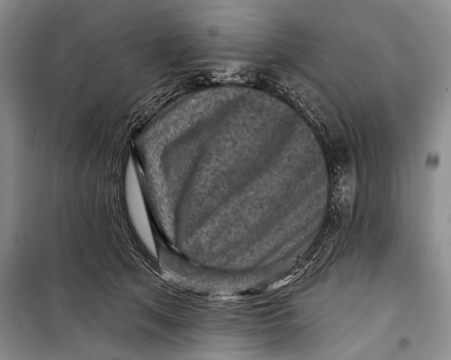 X0000098170513200805151120