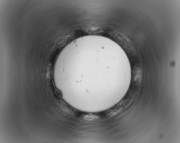 X0000098170515200805151120