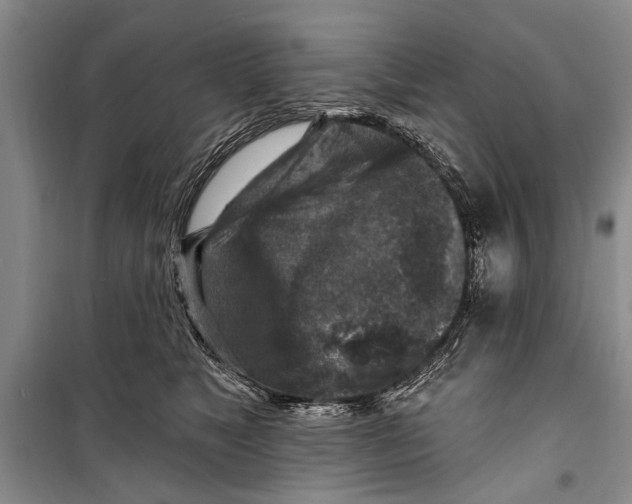 X0000098170517200805151119