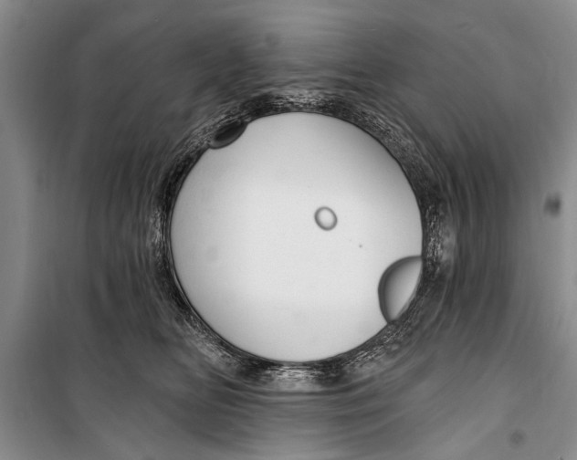 X0000098170518200805151119