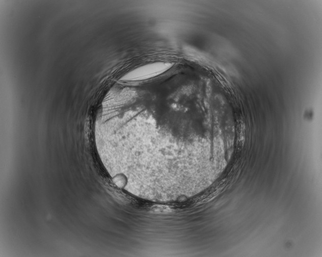 X0000098170519200805151119