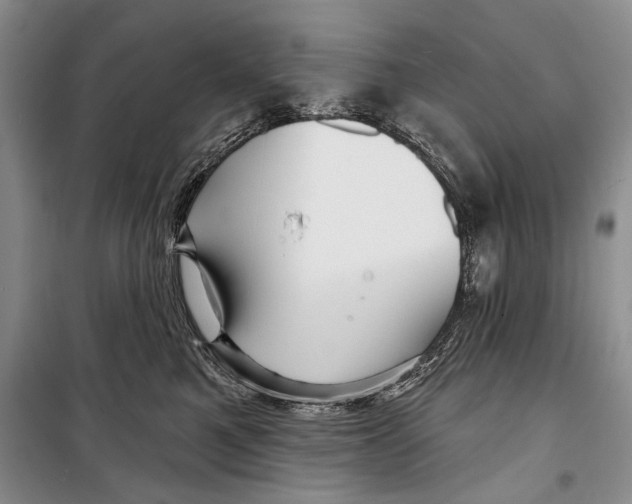 X0000098170521200805151119