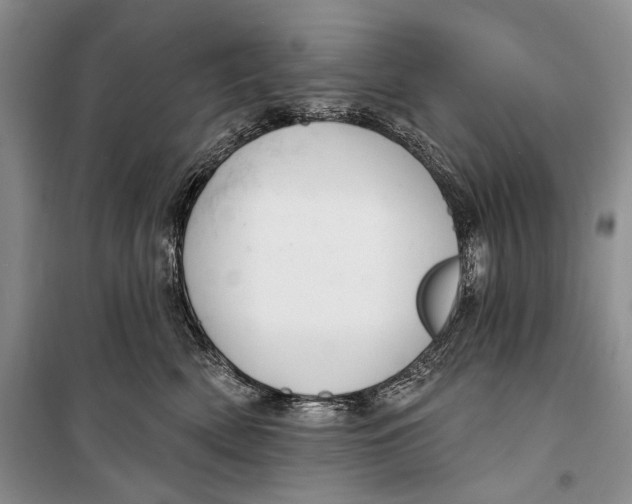 X0000098170522200805151119