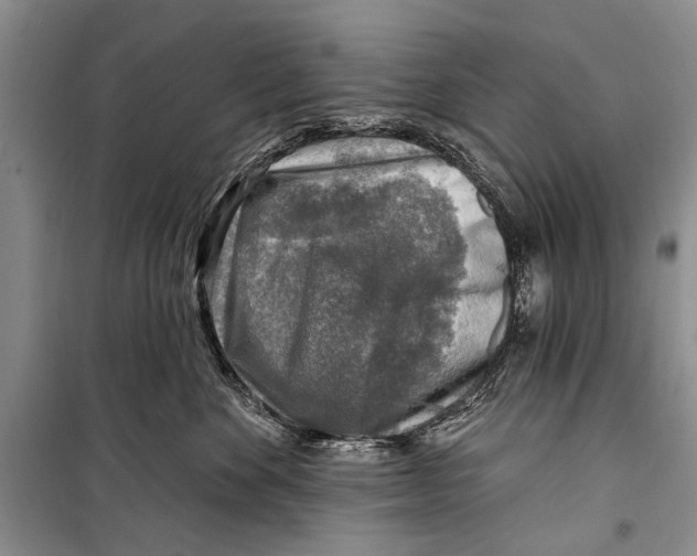 X0000098170524200805151119