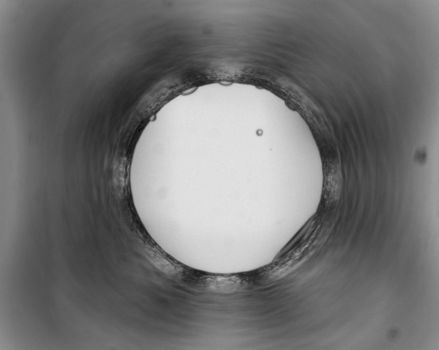 X0000098170525200805151119