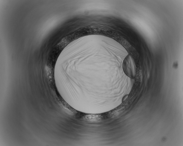 X0000098170526200805151119