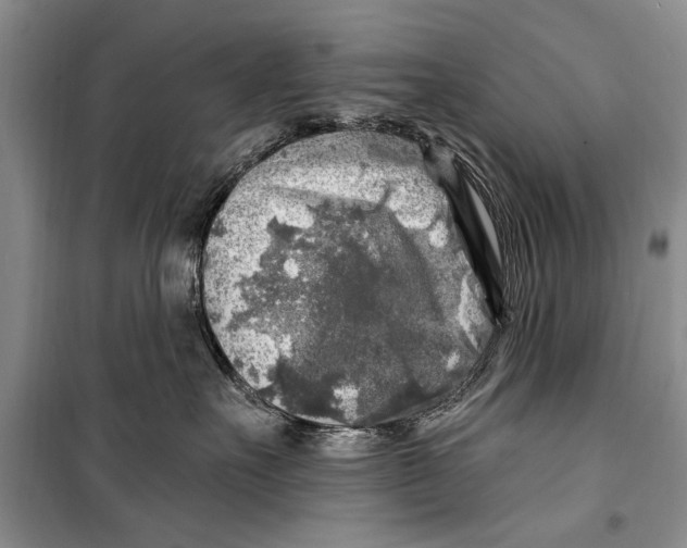 X0000098170527200805151119