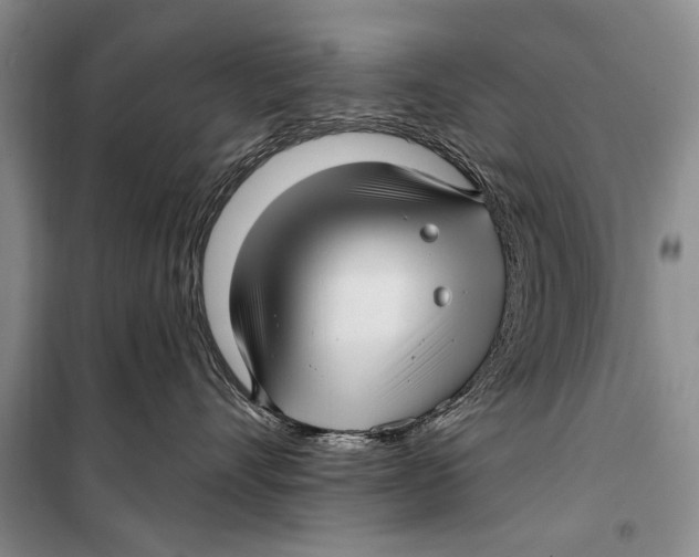 X0000098170528200805151119