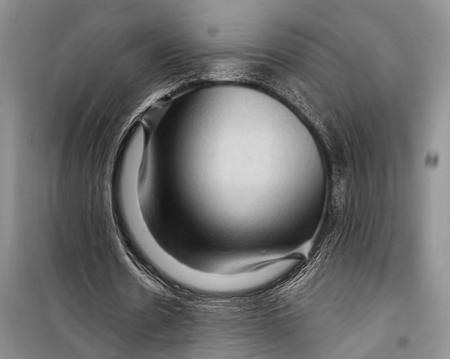 X0000098170530200805151119