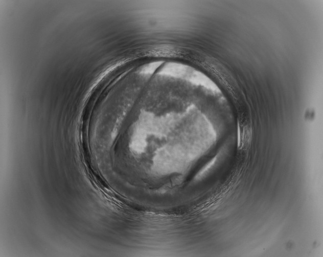 X0000098170531200805151119