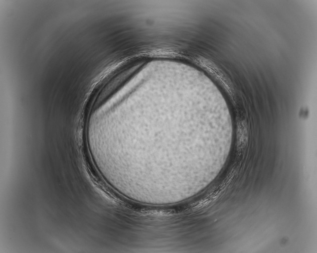 X0000098170533200805151119