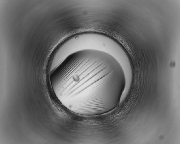 X0000098170534200805151119