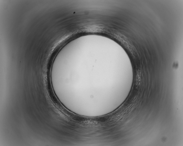 X0000098170535200805151119