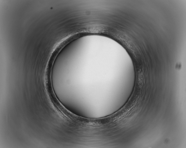 X0000098170536200805151119