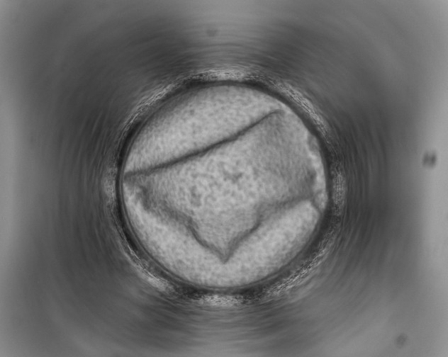 X0000098170537200805151119