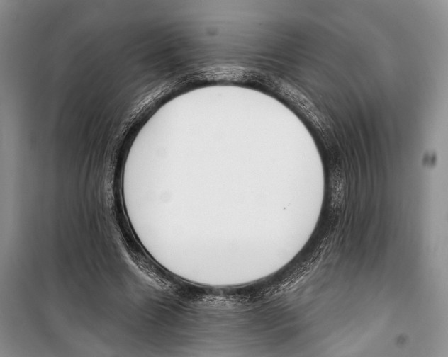 X0000098170538200805151119