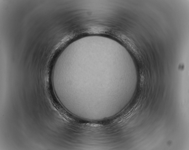 X0000098170539200805151119