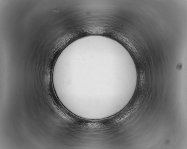 X0000098170541200805151119