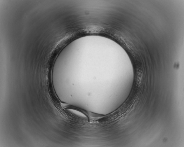 X0000098170543200805151119