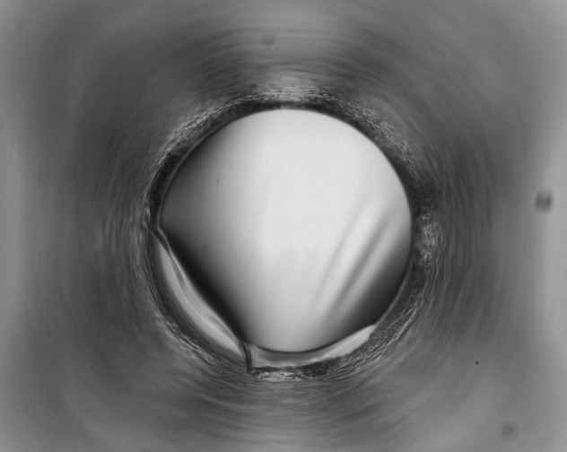 X0000098170544200805151119