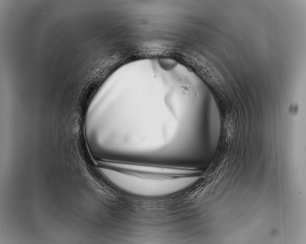 X0000098170546200805151119