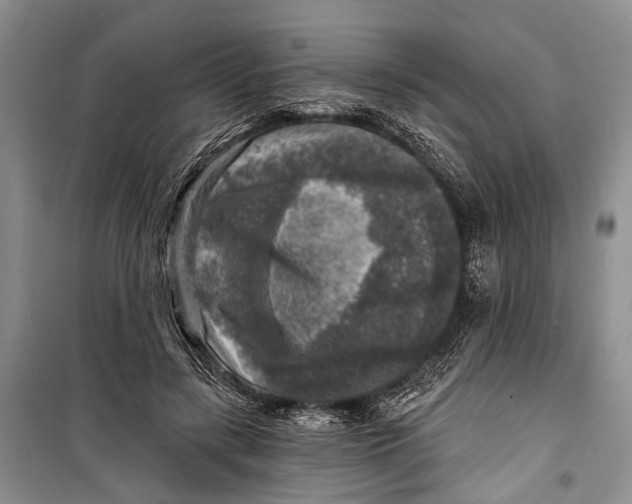 X0000098170547200805151119