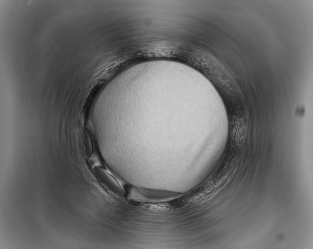 X0000098170548200805151119