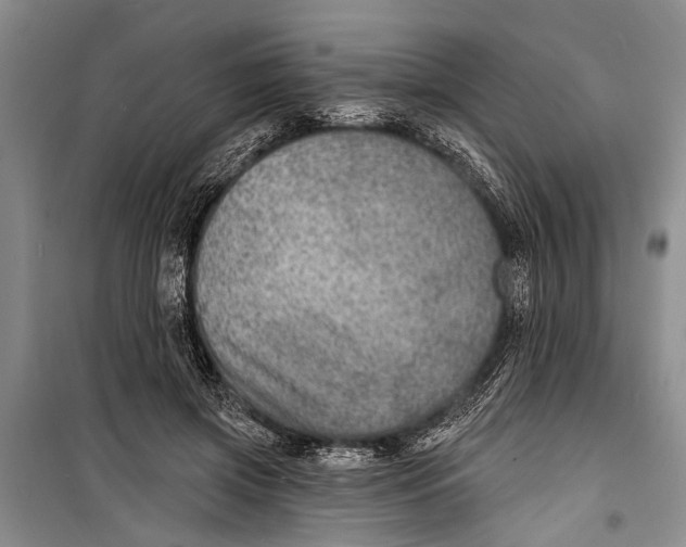 X0000098170549200805151119