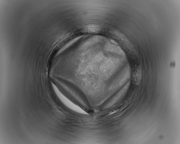 X0000098170552200805151119