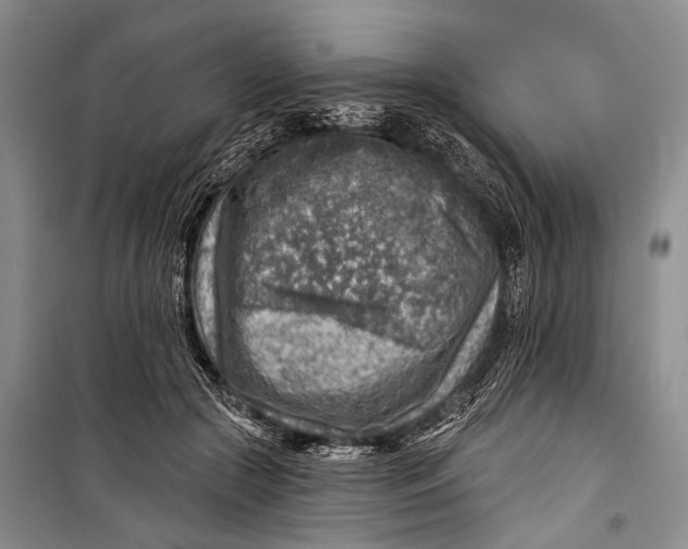 X0000098170553200805151119