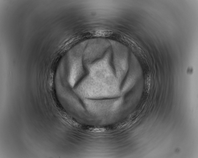 X0000098170554200805151119