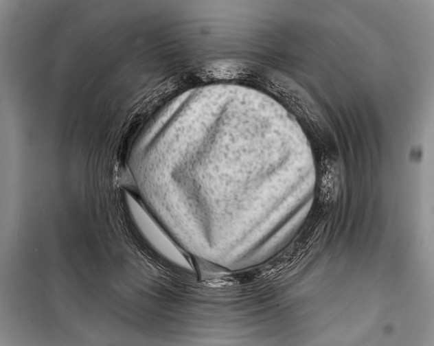 X0000098170555200805151119