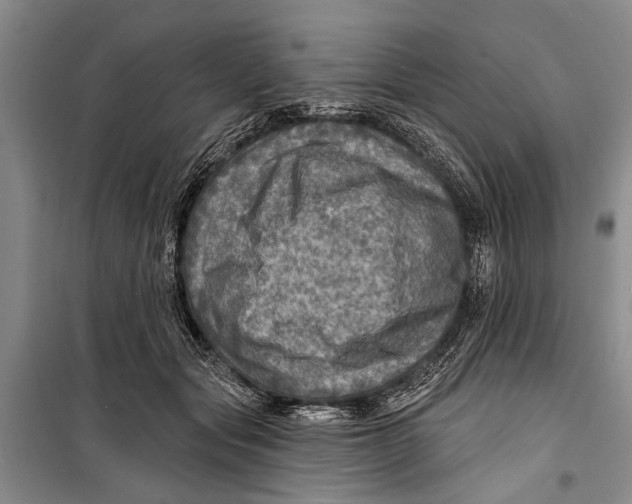 X0000098170557200805151119