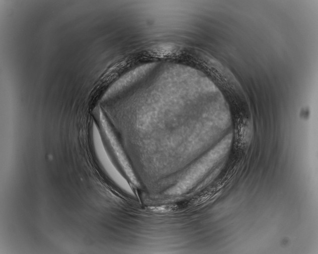 X0000098170558200805151119