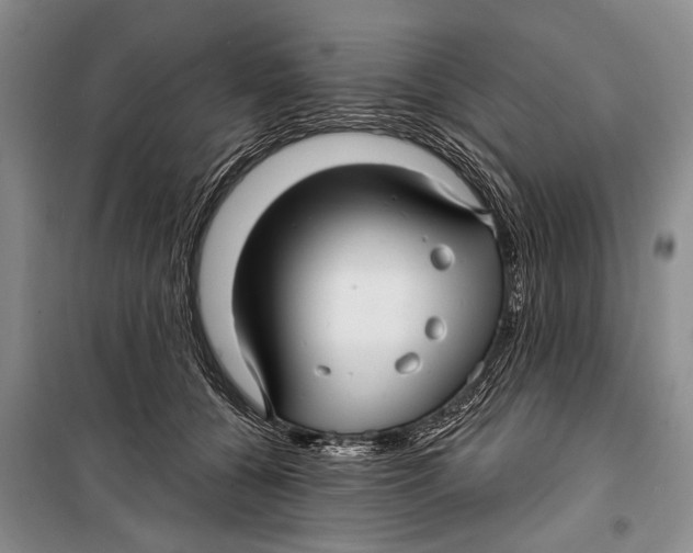 X0000098170560200805151119