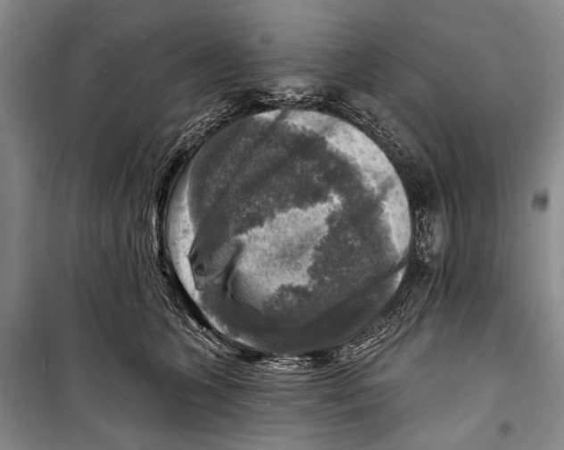 X0000098170563200805151119